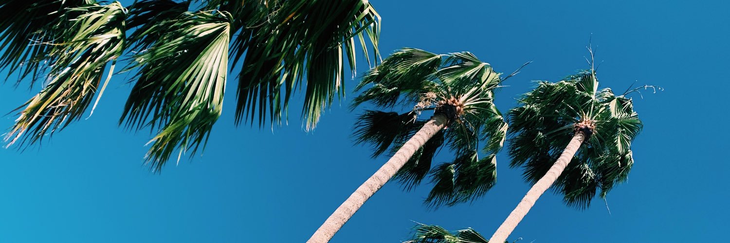 lorianattanasio's profile banner image