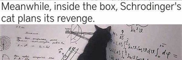 QuantumToy Profile Banner