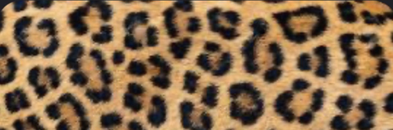 janeeatyleer's profile banner image
