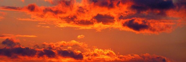 NewLifePlan1 Profile Banner