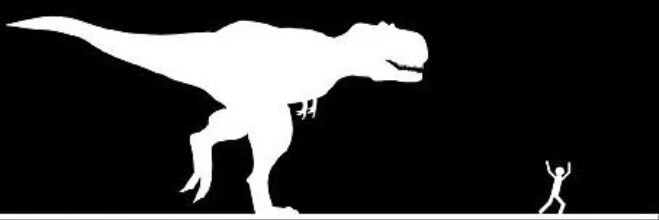 baitken81's profile banner image
