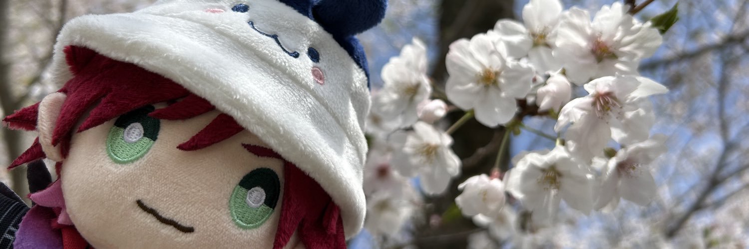 zailuv_ro's profile banner image