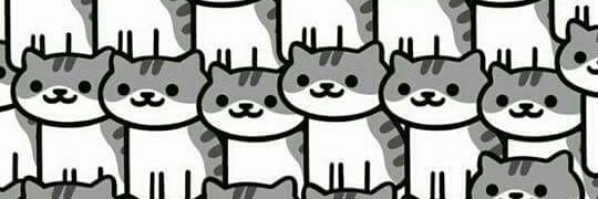 cat_cortes's profile banner image
