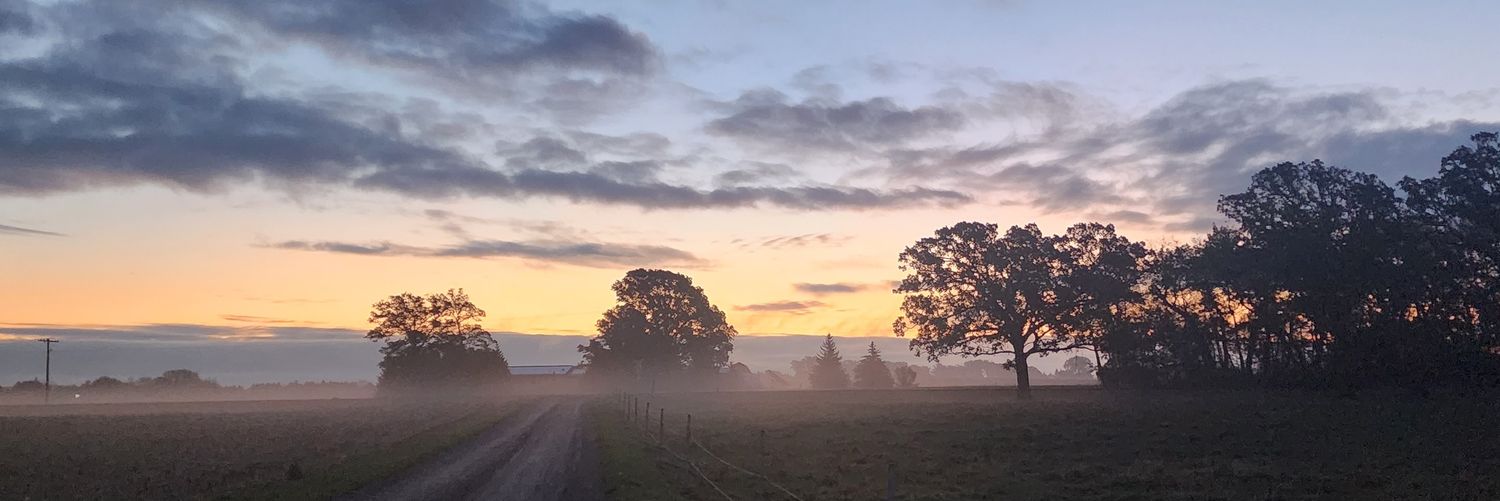 HuckleberryRow's profile banner image