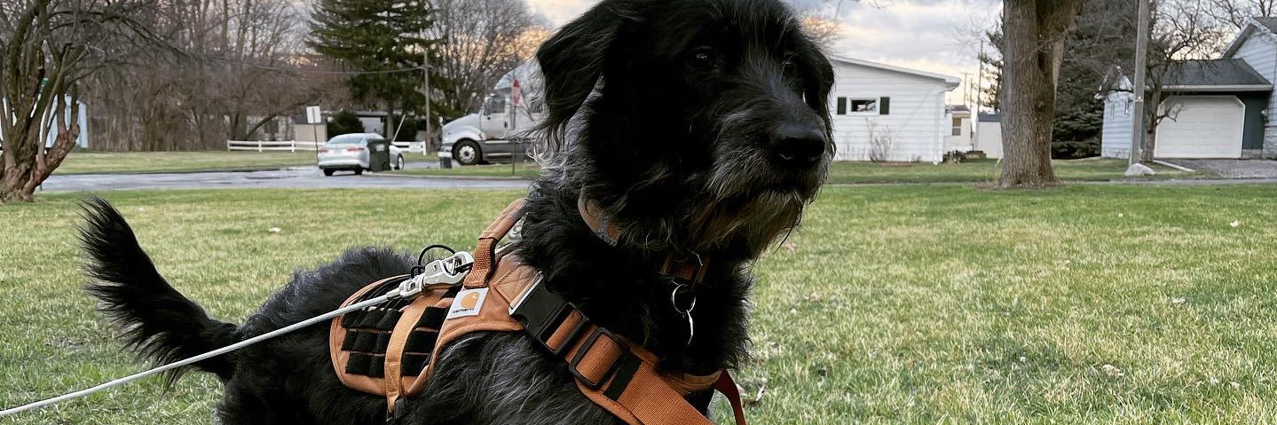 TylerLeeGorman's profile banner image