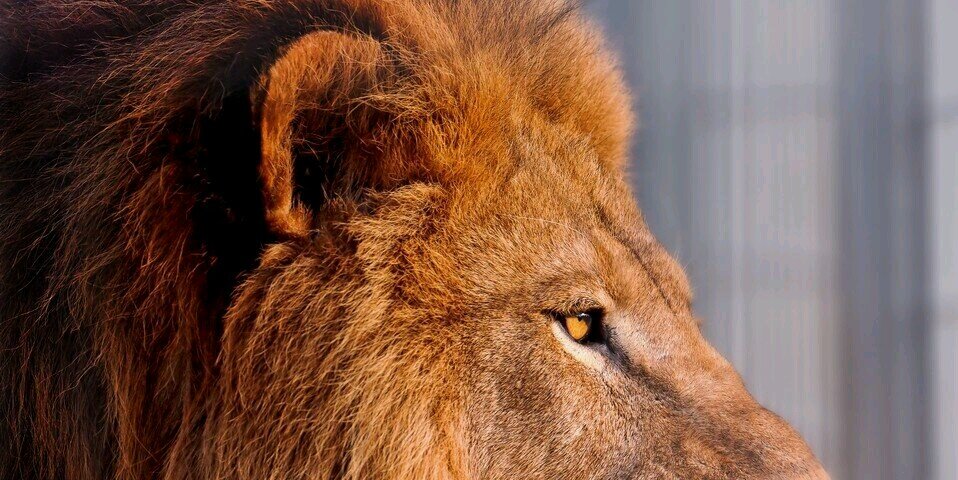 omibhaipali's profile banner image