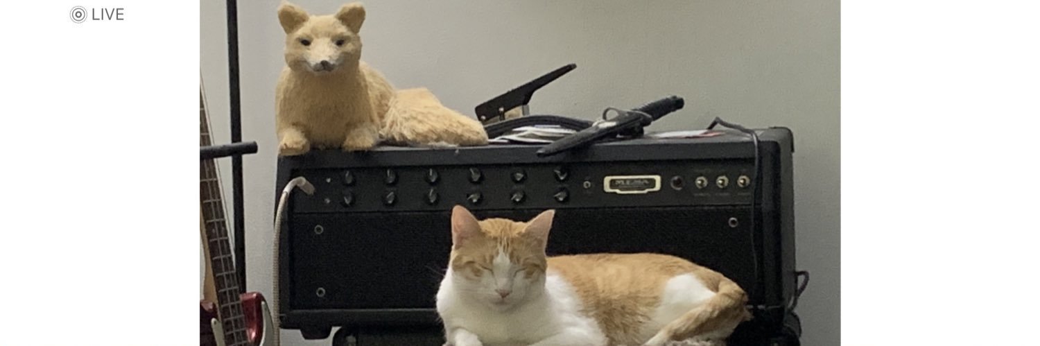 Boltaholic's profile banner image