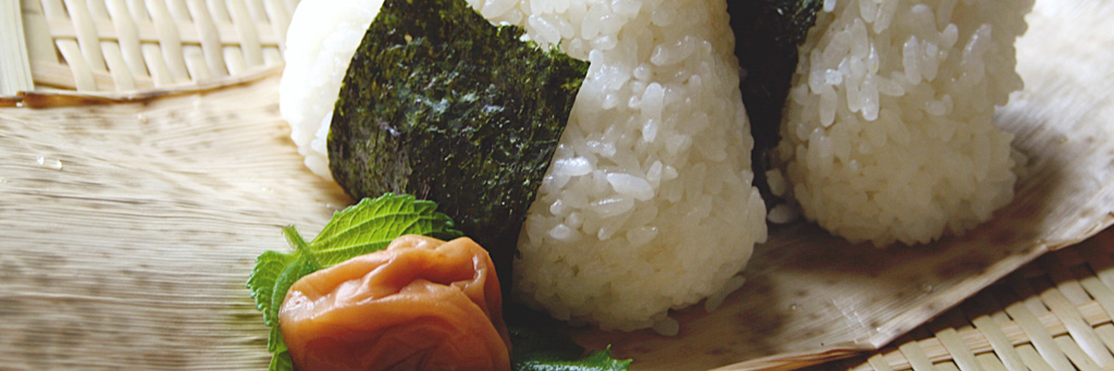 o2maru's profile banner image