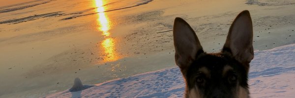 Captainpatatoes Profile Banner