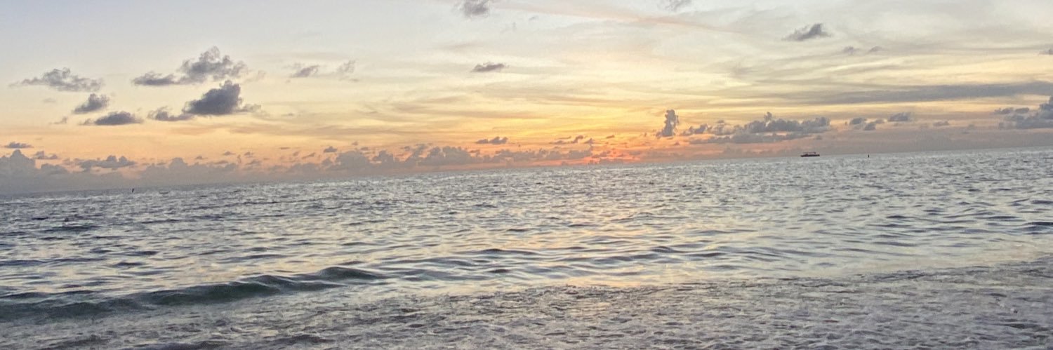 ayrosrosales's profile banner image