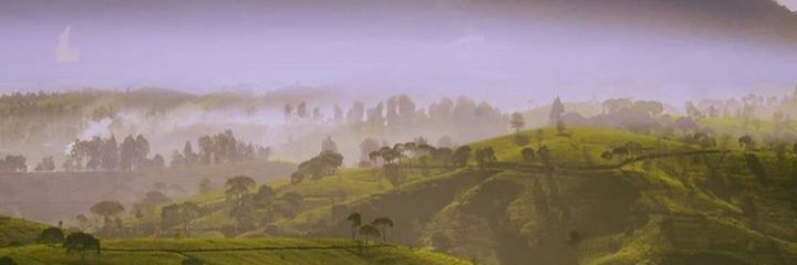 achmaddrrifai's profile banner image
