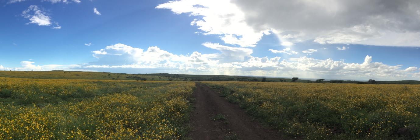 Doug Doyle-Baker banner