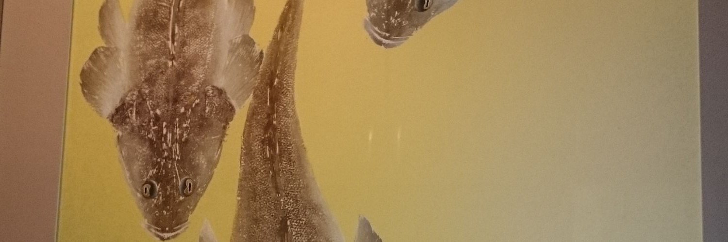 hassansaikyo's profile banner image