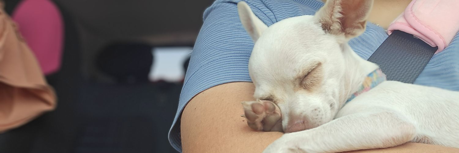 AlexisValeerio's profile banner image