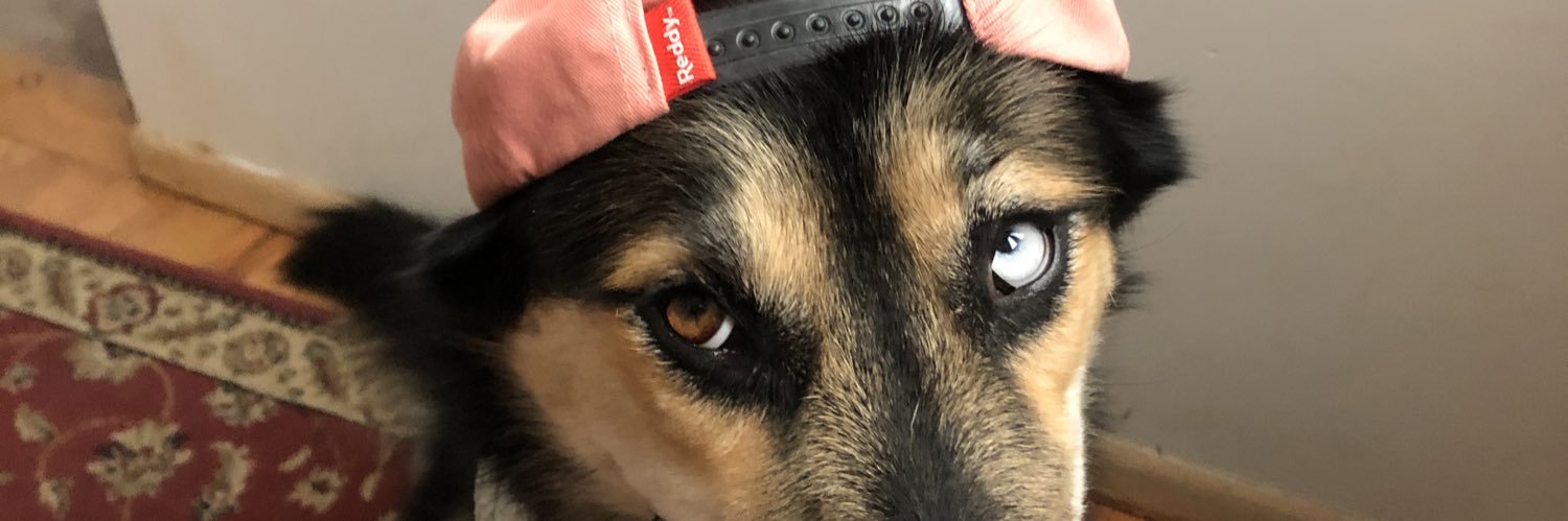 Ben_Marolf's profile banner image