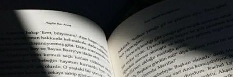 Prof. Hamed A. Al-Shahrani ا.د.حامد علي الشهراني banner