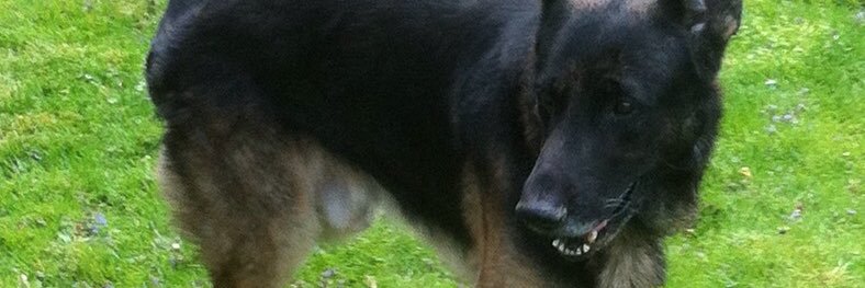 part1ted's profile banner image