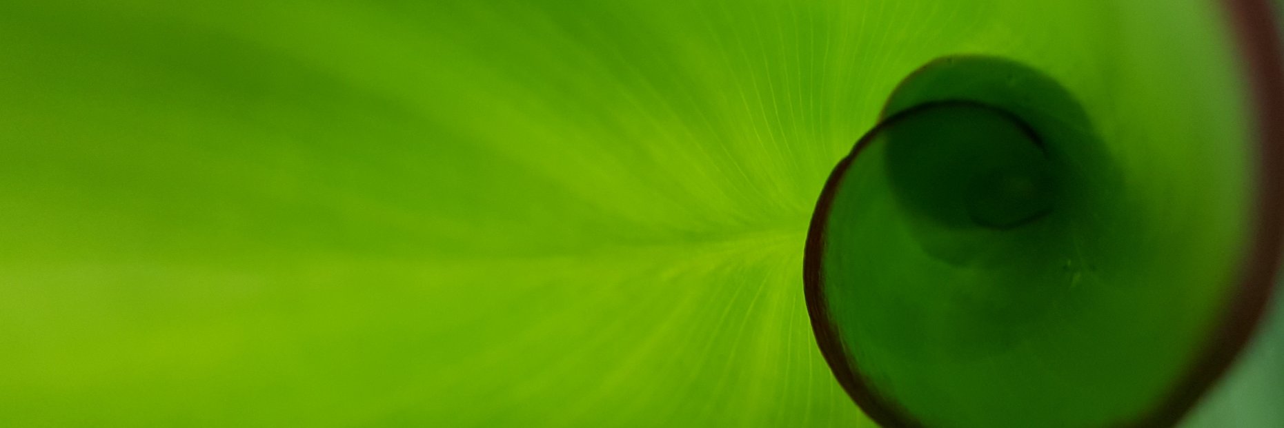 thiagopn77's profile banner image