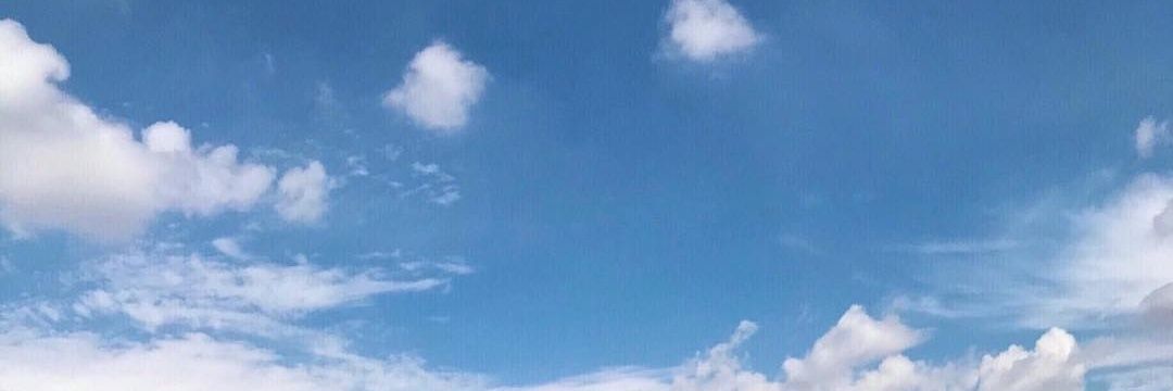lin23_dsay's profile banner image