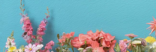 D00Ni's profile banner image