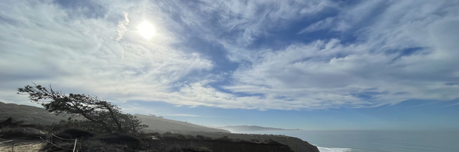 therealbmomo's profile banner image