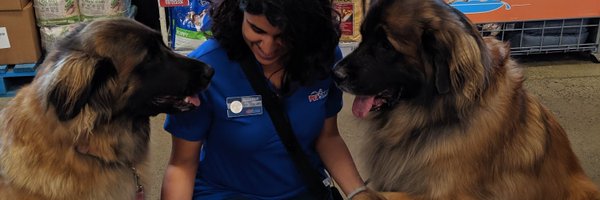 wagabonding Profile Banner