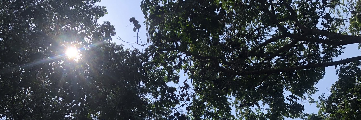 AlexAsare3's profile banner image