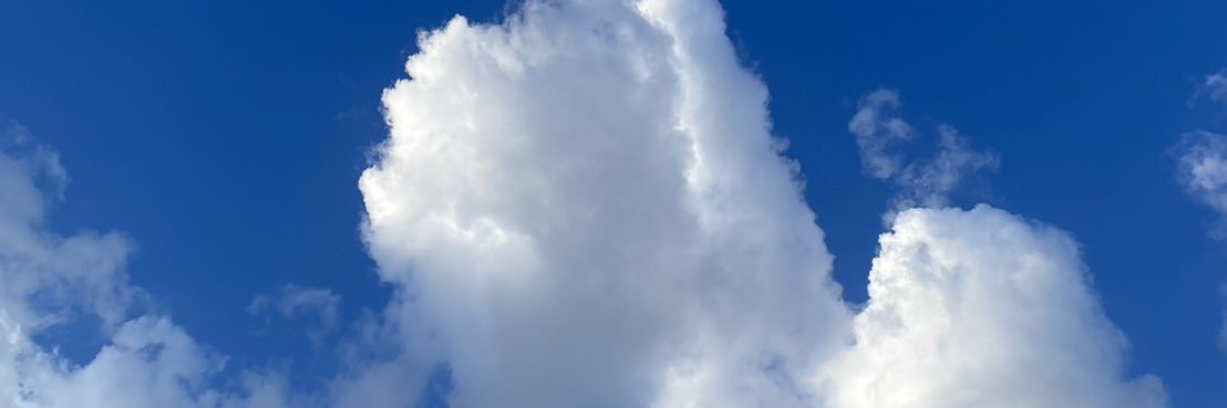 Nnextz's profile banner image