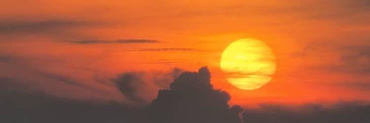 rushbas's profile banner image