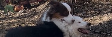 RyanEder1998's profile banner image