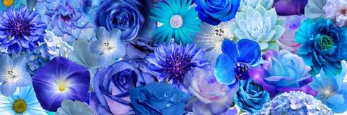 _Rule_the_Fate_'s profile banner image