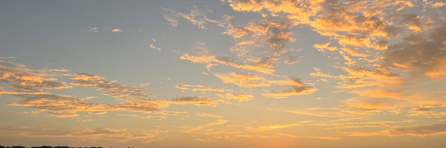 smbaggie94's profile banner image