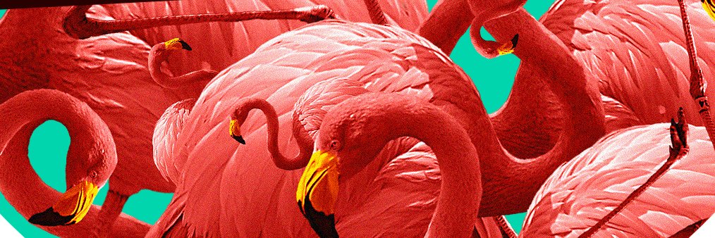 Mother Recordings banner