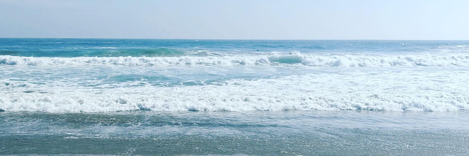 kavevar's profile banner image