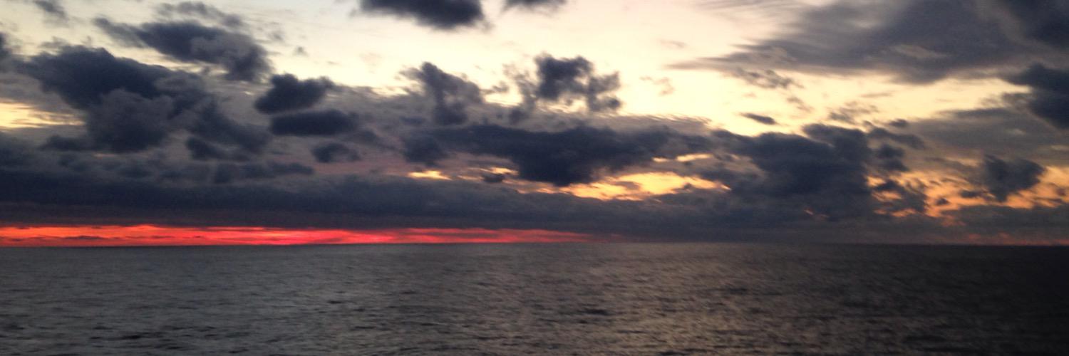 lanescup's profile banner image