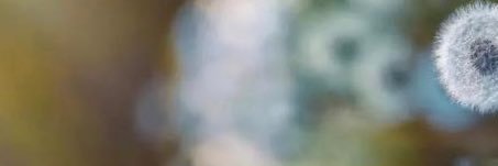 myccshells's profile banner image