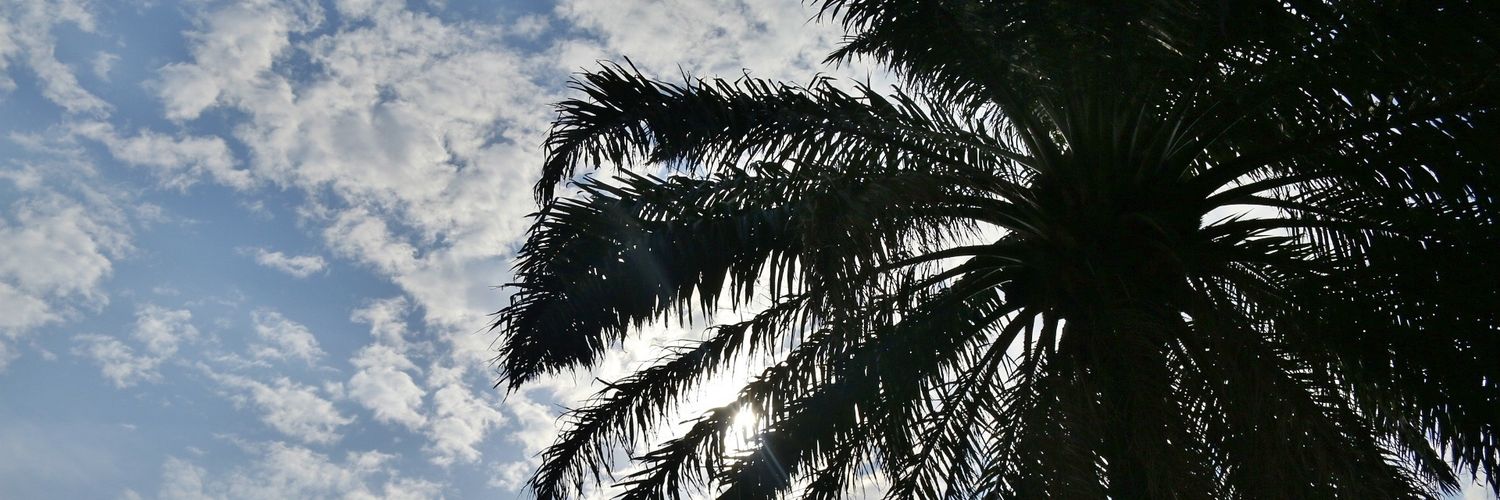 TripleAJay's profile banner image