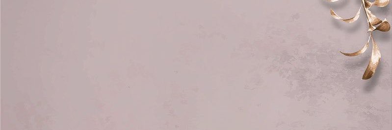 vira_di's profile banner image