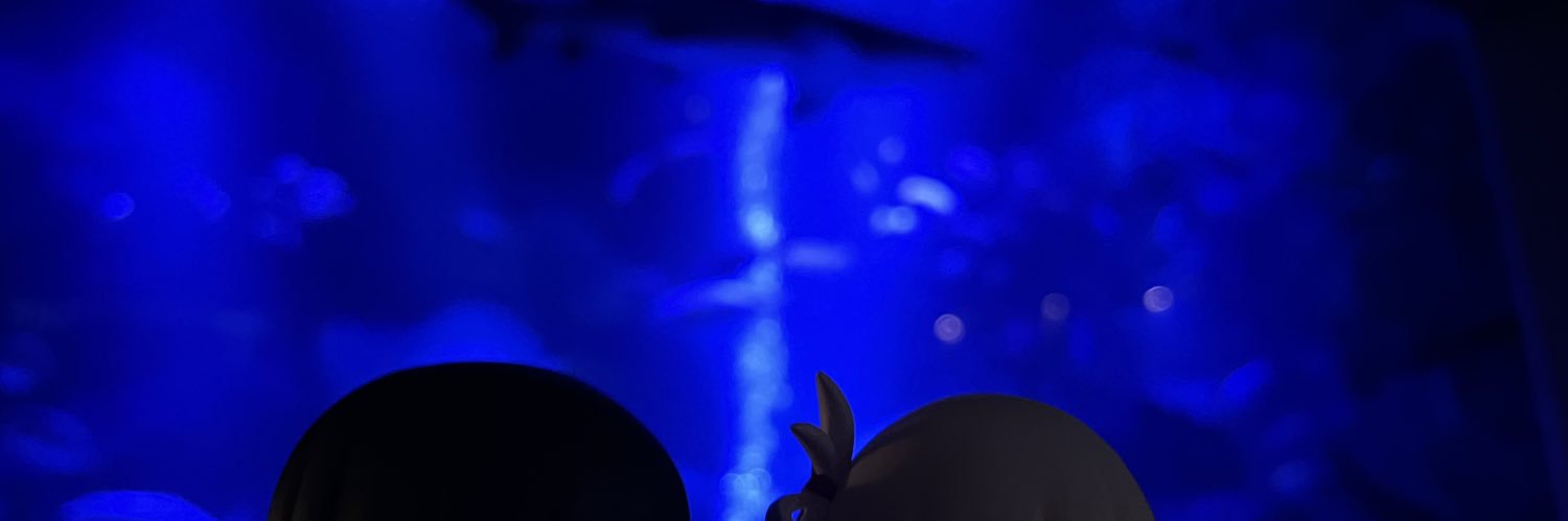 linmao90407's profile banner image