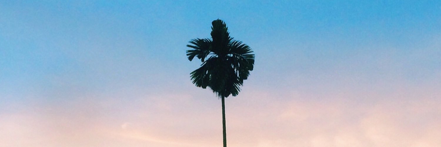fannur_'s profile banner image