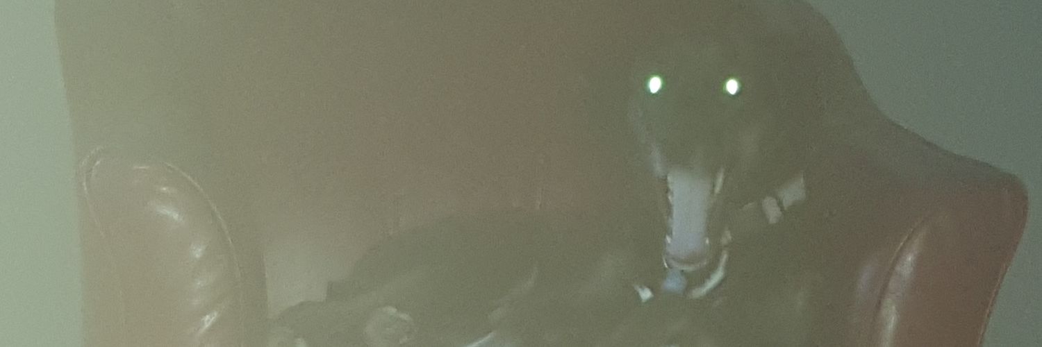 1Evilbabe's profile banner image