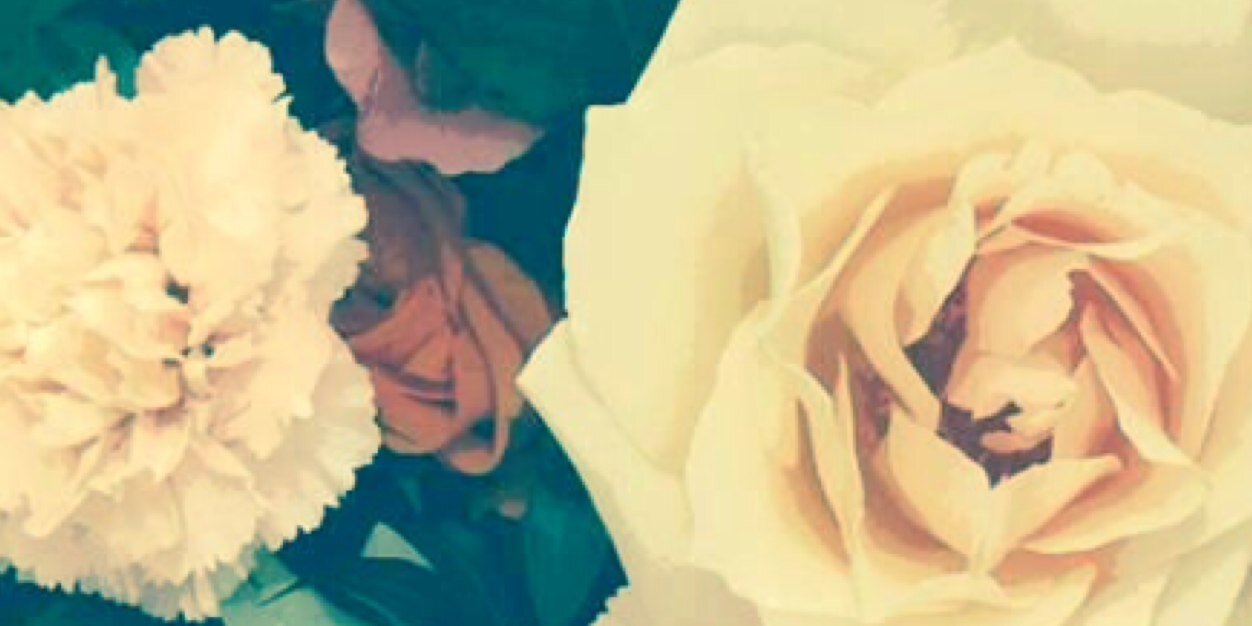 Amanda_Paskk's profile banner image