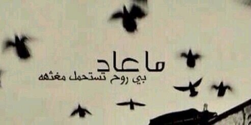 mohammed8s's profile banner image