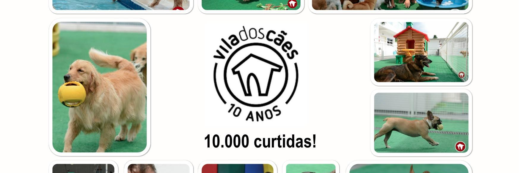 ViladosCaes's profile banner image
