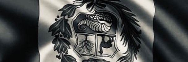 NoaykaMotes's profile banner image