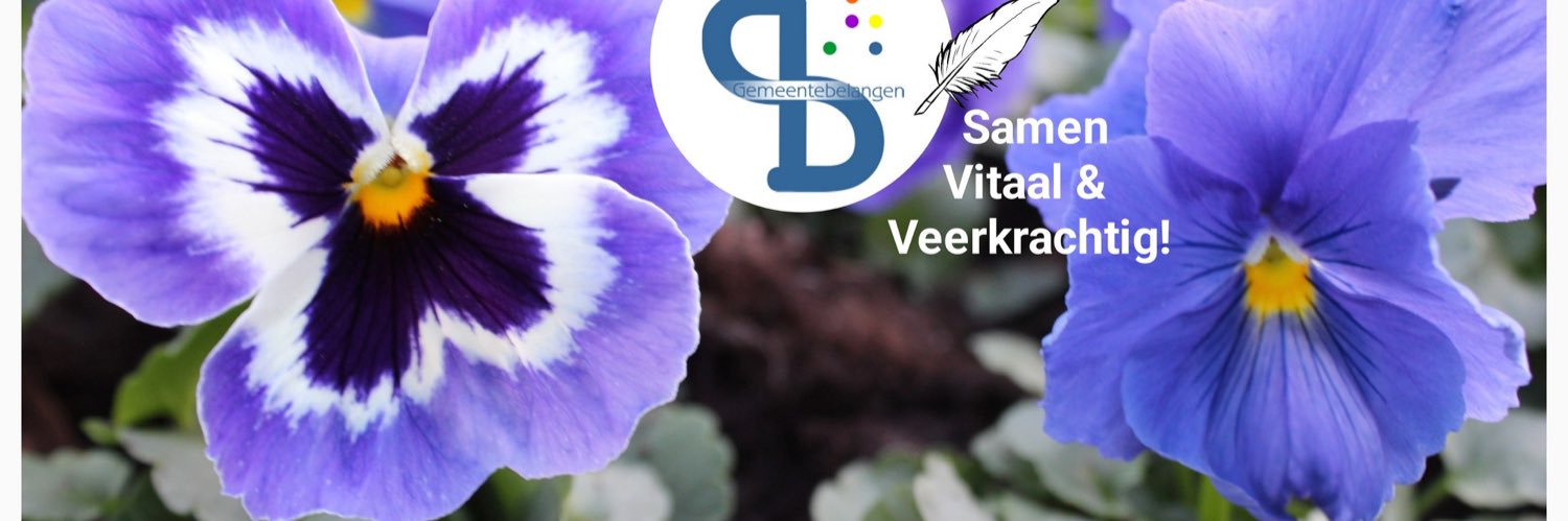 GerardJutten's profile banner image