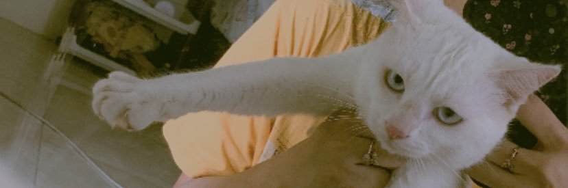 AnggiPrastika's profile banner image