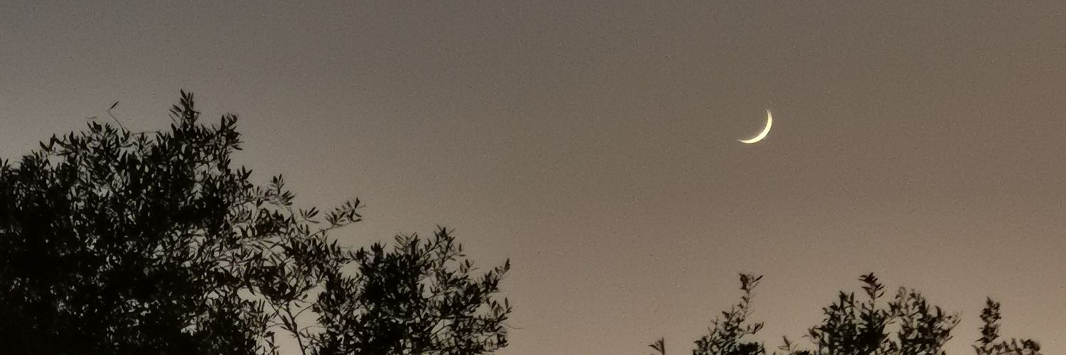 EaYasser's profile banner image