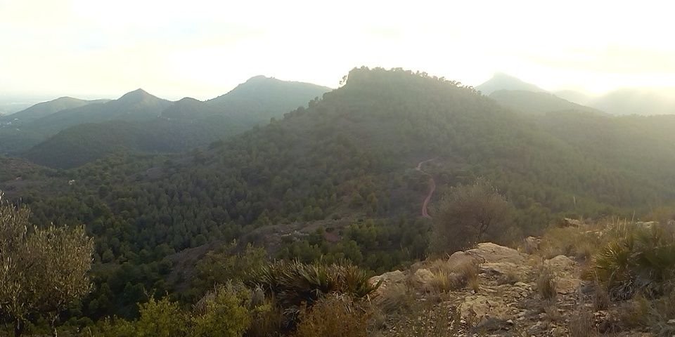 Nacho Fernández banner
