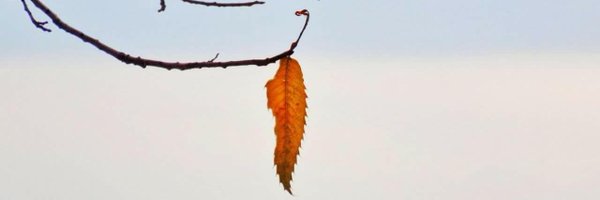 iamsahilparray Profile Banner